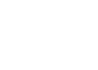 bean illustration